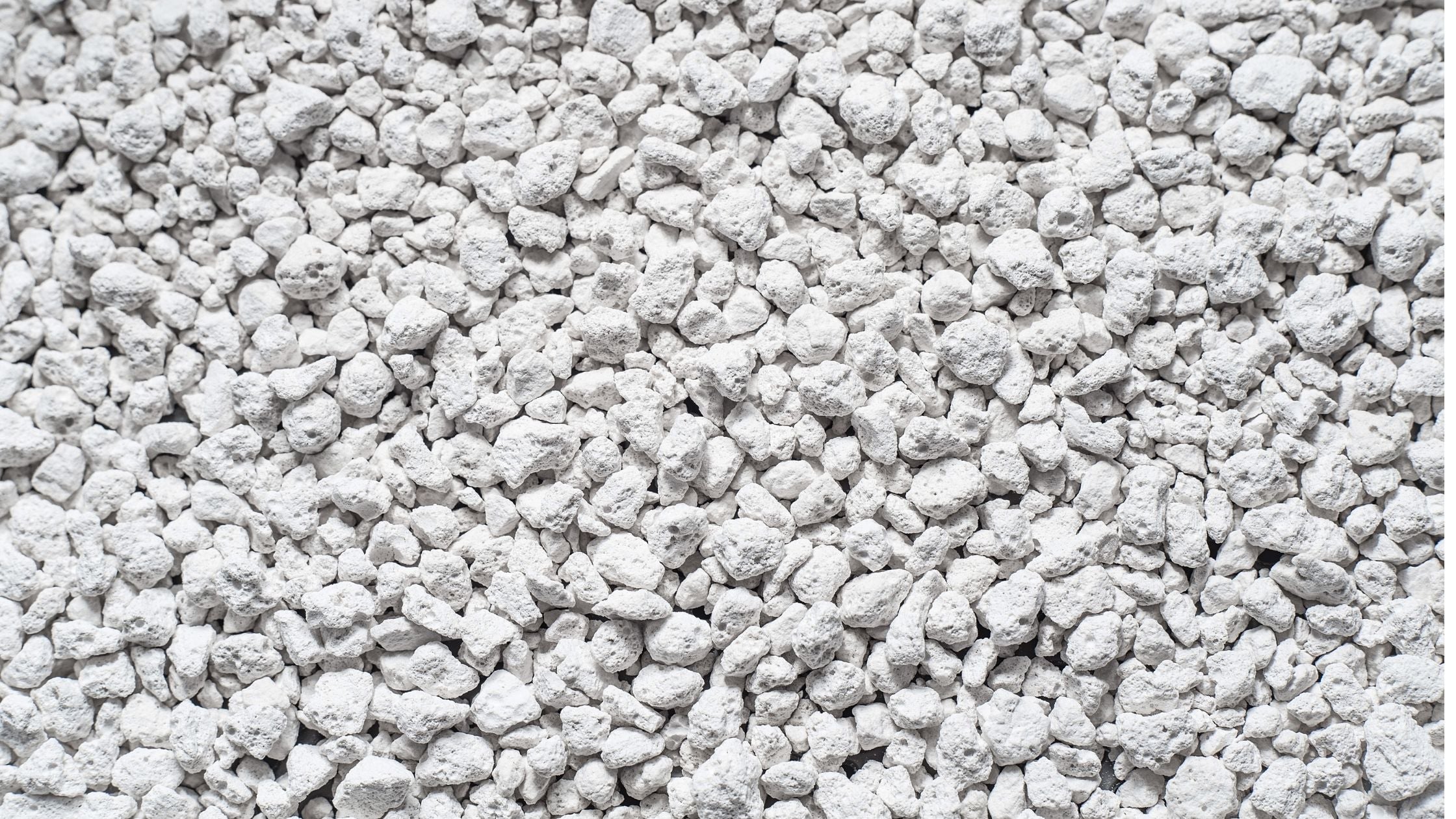 Kitty Litter vs Absorbents