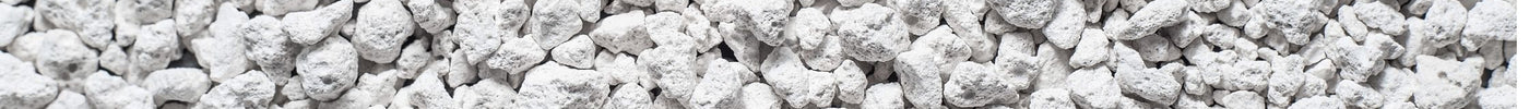 Kitty Litter vs Absorbents