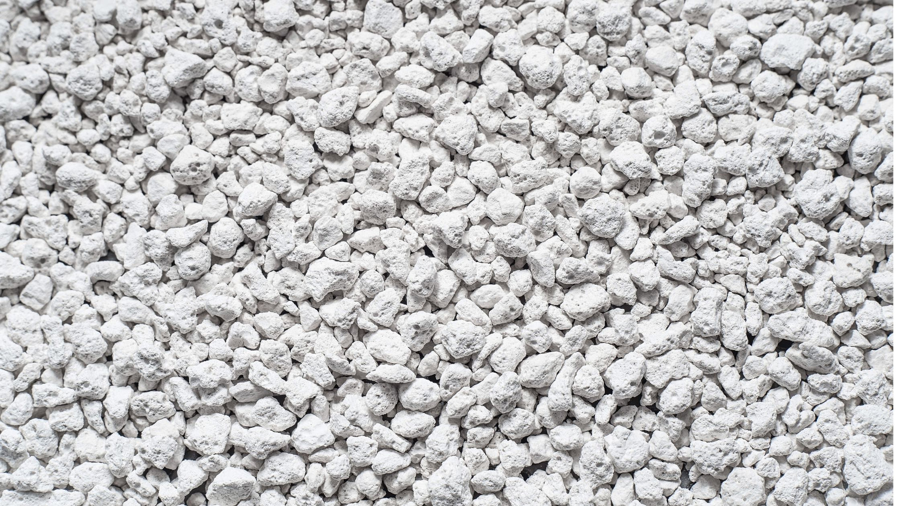 Kitty Litter vs Absorbents