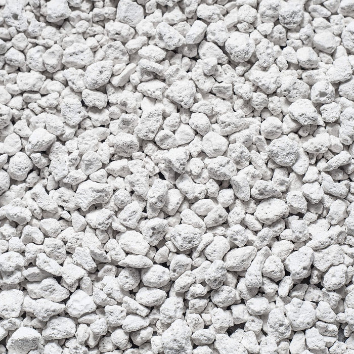 Kitty Litter vs Absorbents